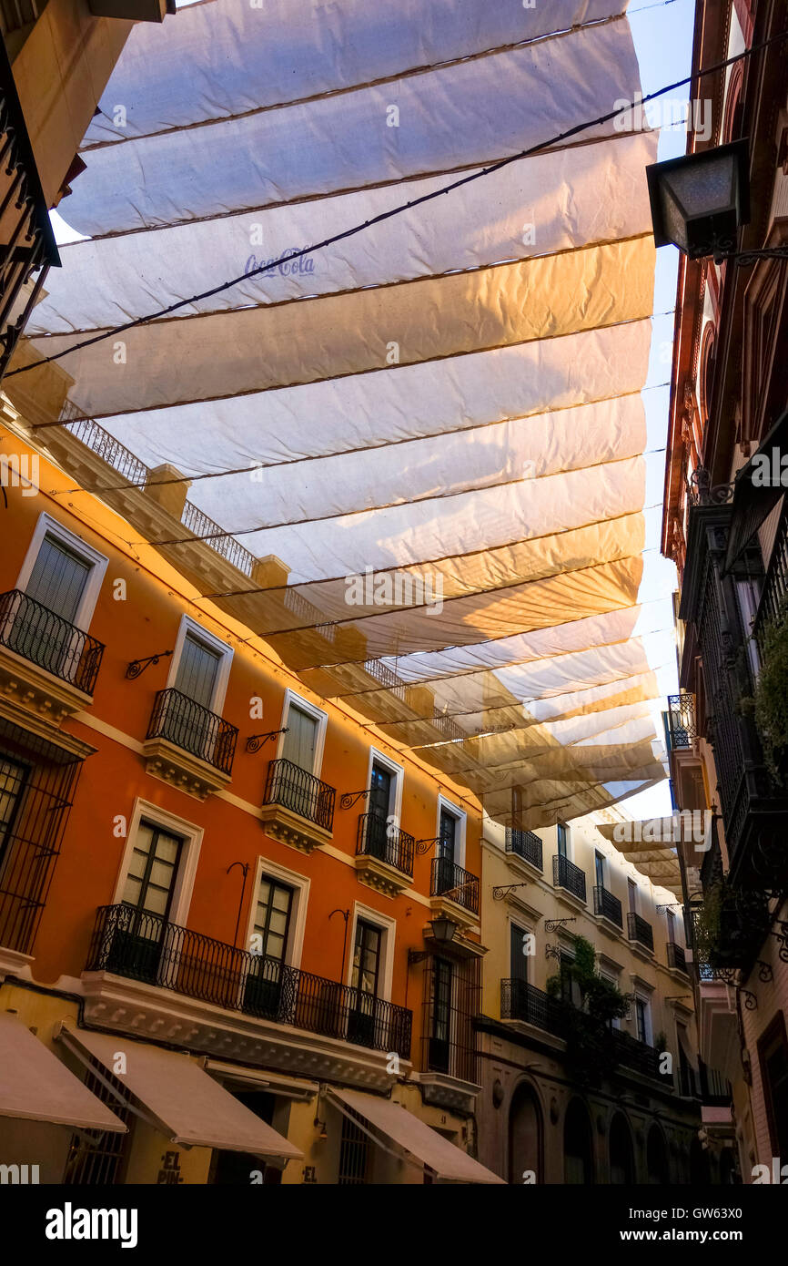 Velas, Canopies, providing Shade in historic centre, Santa Cruz, Seville, Andalucia, Spain. Stock Photo