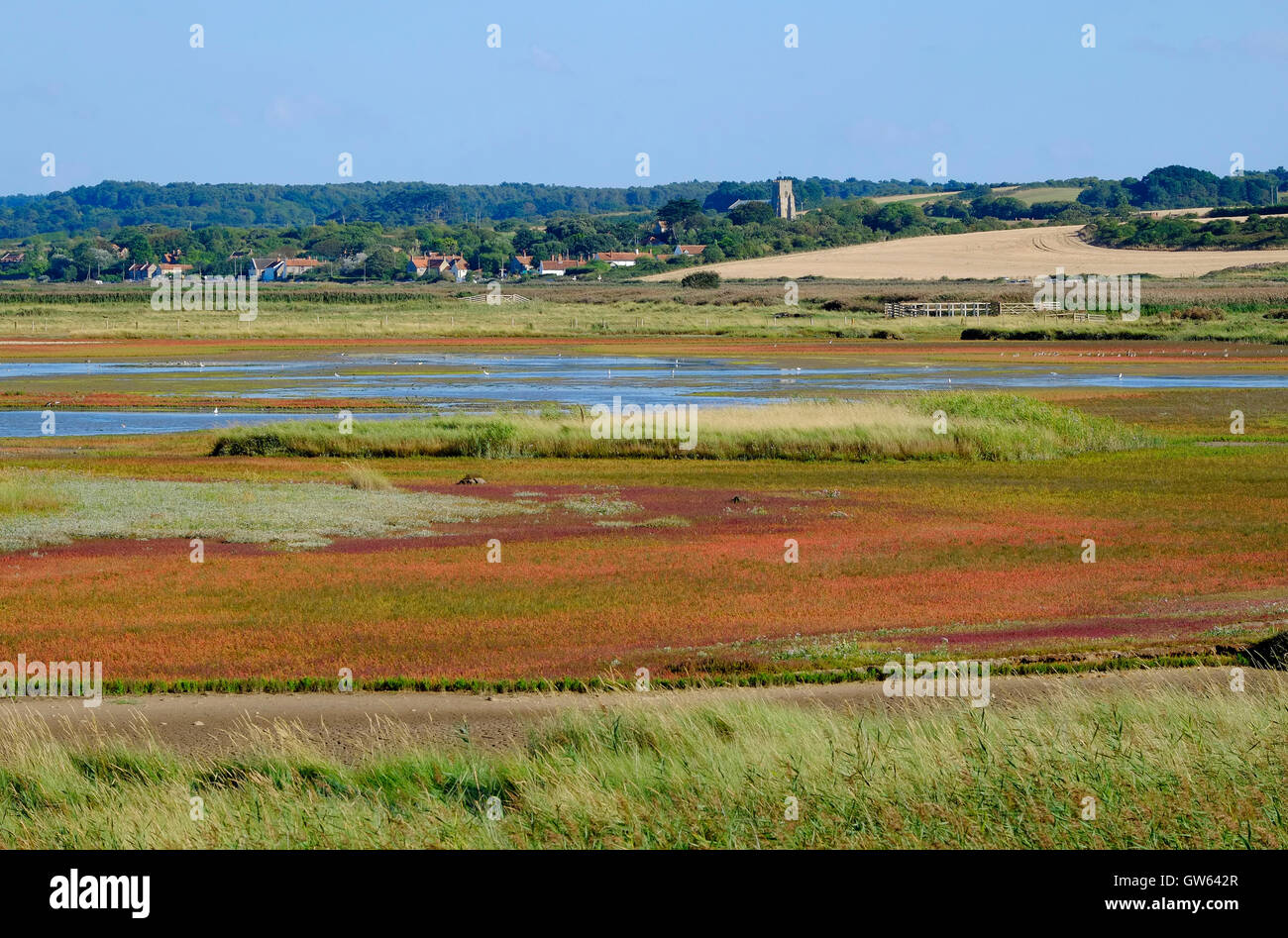 cley nature reserve looking towards salthouse, north norfolk, england Stock Photo