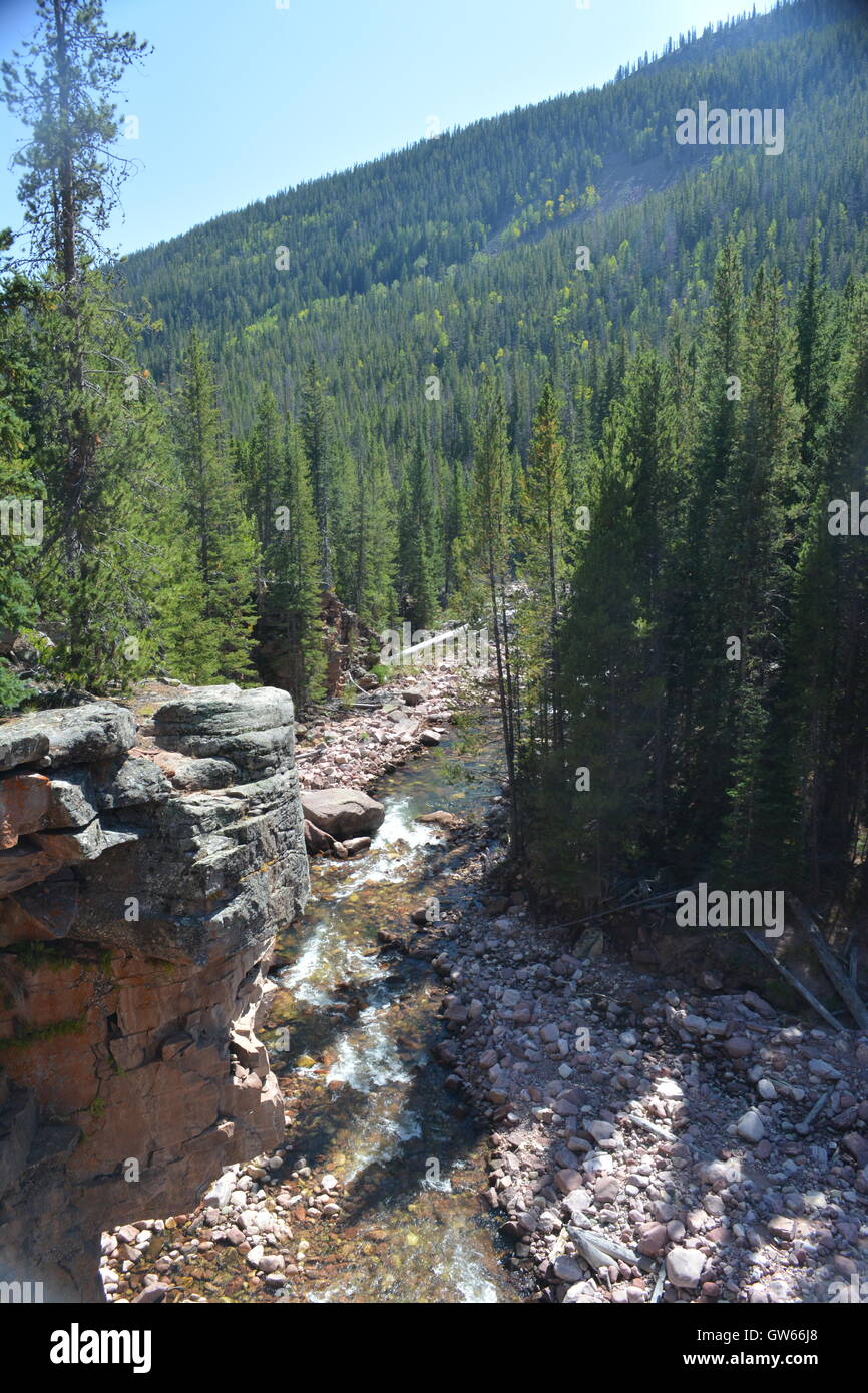 Stream pine trees hi-res stock photography and images - Alamy