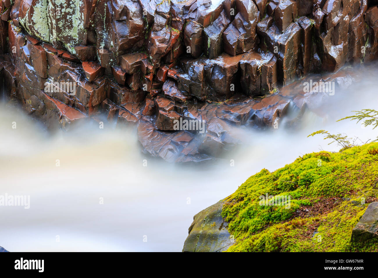 Dells of the Eau Claire River state park, Aniwa Wisconsin Stock Photo
