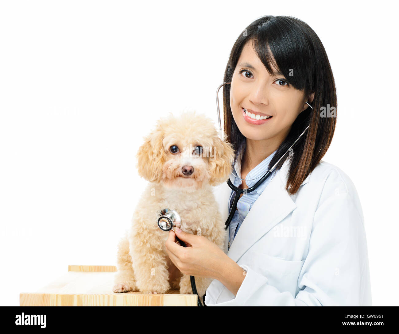 Asian female veterinarian Stock Photo Alamy