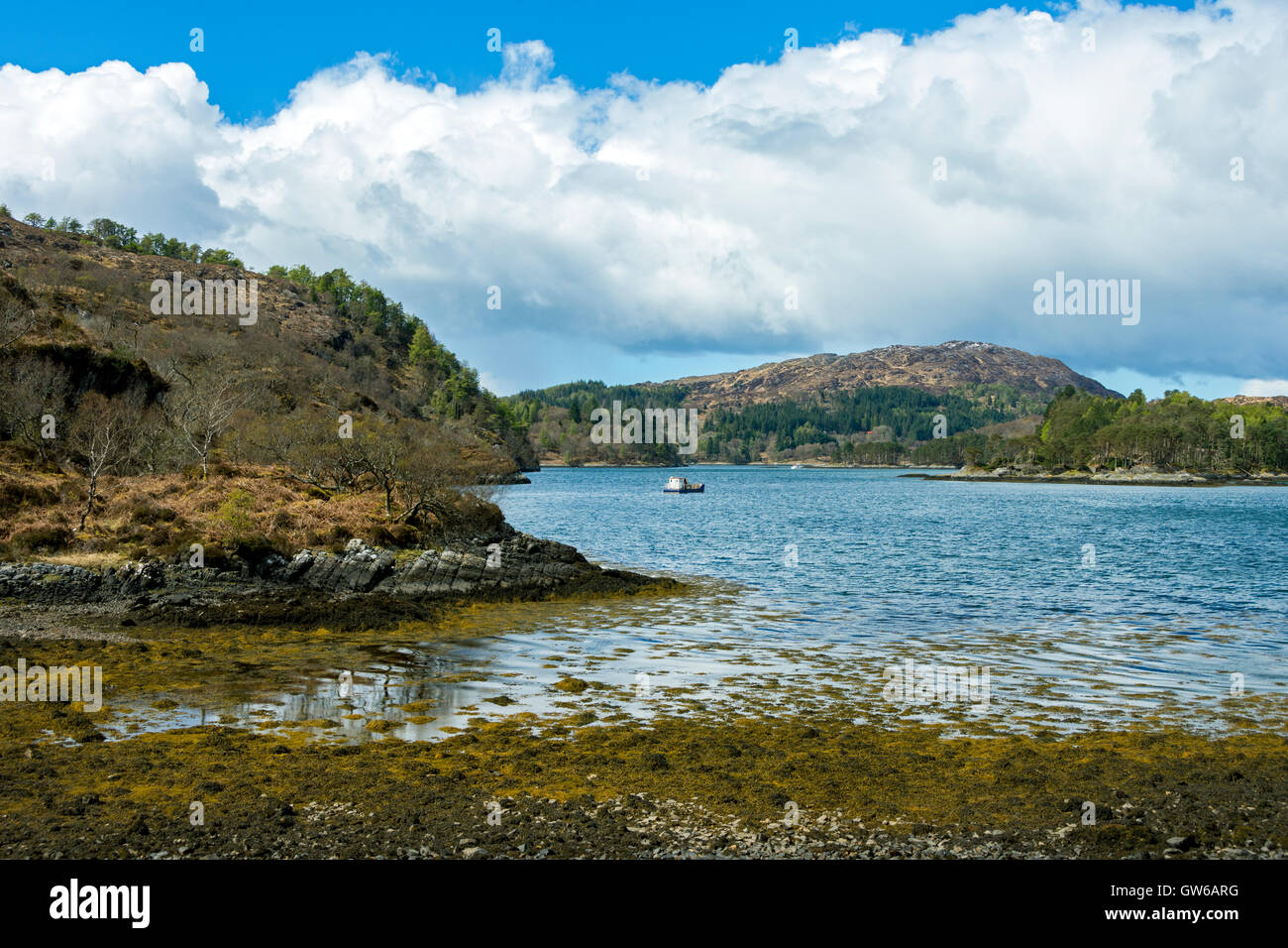 Loch Moidart from the Silver Walk, near Acharacle, Ardnamurchan