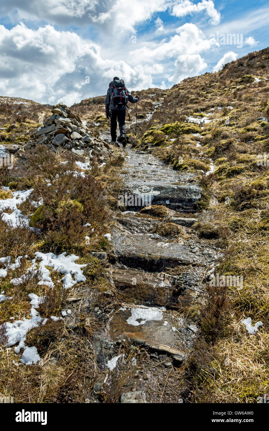 A walker on the Silver Walk, above Loch Moidart, near Acharacle, Ardnamurchan peninsula, Scotland, UK Stock Photo