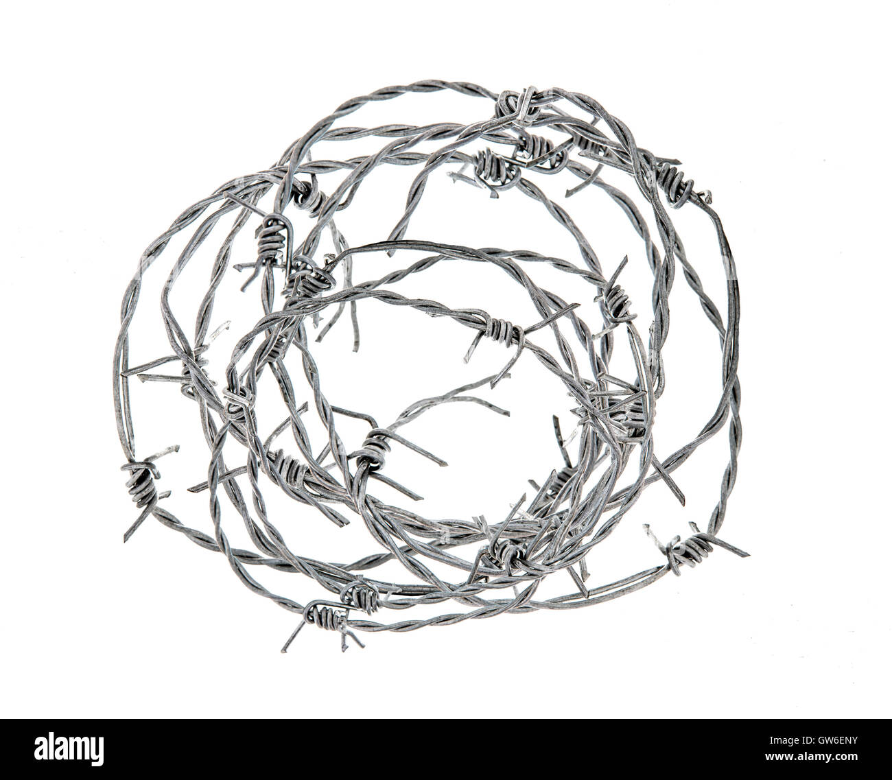 Barbed wire isolated on white background Stock Photo