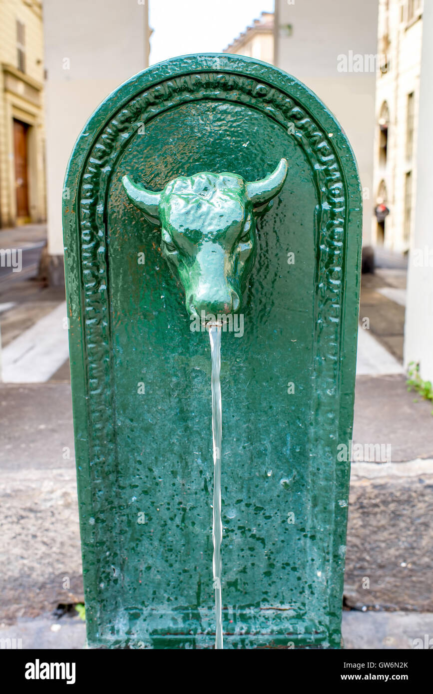 Fountain in Turin city Stock Photo