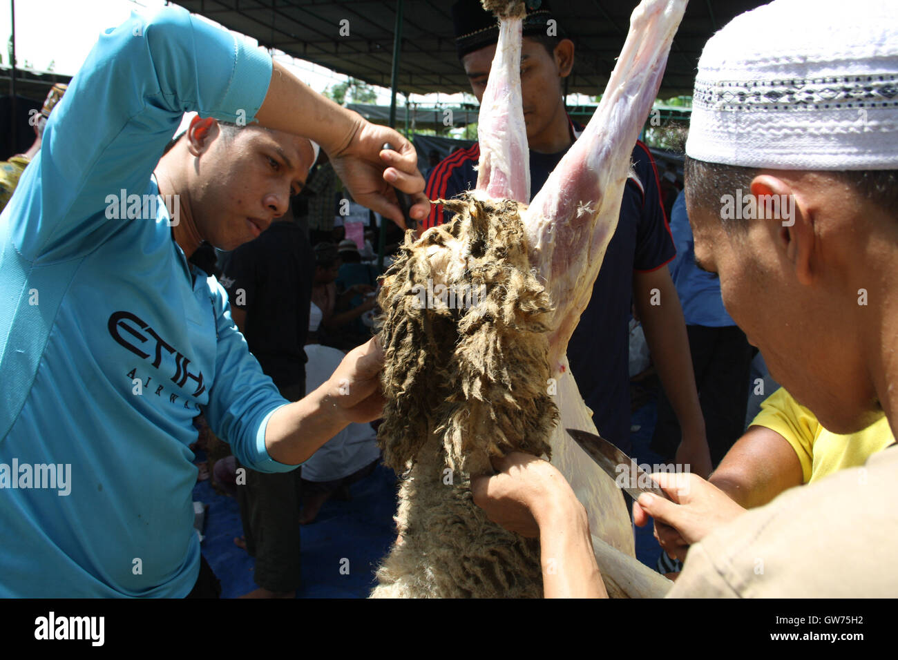 Medan, North Sumatra, Indonesia. 12th Sep, 2016. NORTH SUMATRA, INDONESIA - SEPTEMBER 12 : Indonesia muslim cut goat skin during the celebration of Eid al-Adha at Al-Mudziri islamic boarding school on September 12, 2016 in Medan, North Sumatra Province, Indonesia. Muslims worldwide celebrate Eid Al-Adha, to commemorate the holy Prophet Ibrahim's (Prophet Abraham) readiness to sacrifice his son as a sign of his obedience to God, during which they sacrifice permissible animals, generally goats, sheep, and cows. Eid-al Adha is the one of two most important holidays in the Islamic calendar, Stock Photo