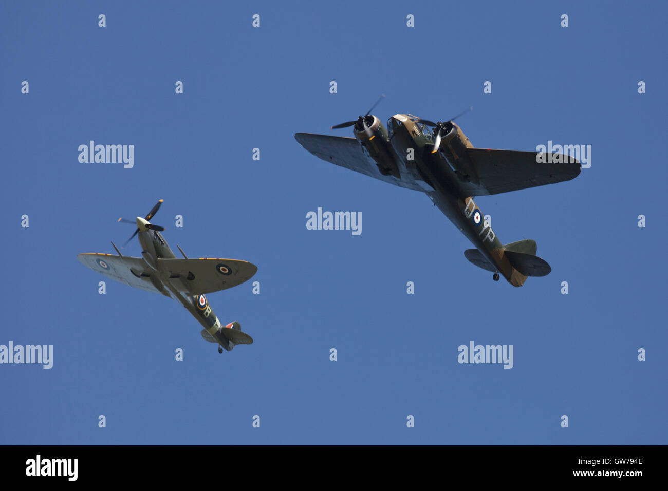 Chichester, UK, UK. 11th Sep, 2016. A Supermarine Spitfire and a Bristol Blenhiem in a display of World War Two aviation during the Goodwood Revival vintage sports car race. © Mark Avery/ZUMA Wire/Alamy Live News Stock Photo