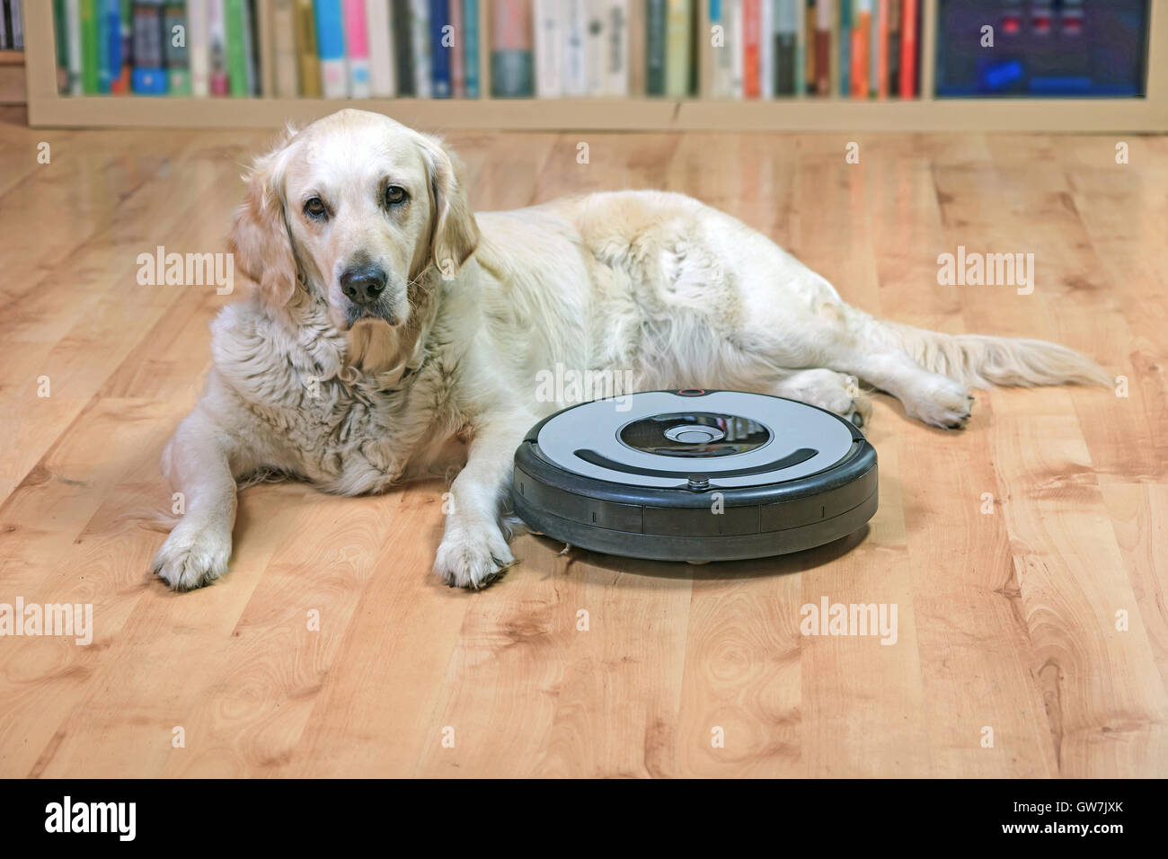Robotic vacuum hires stock photography and images Alamy