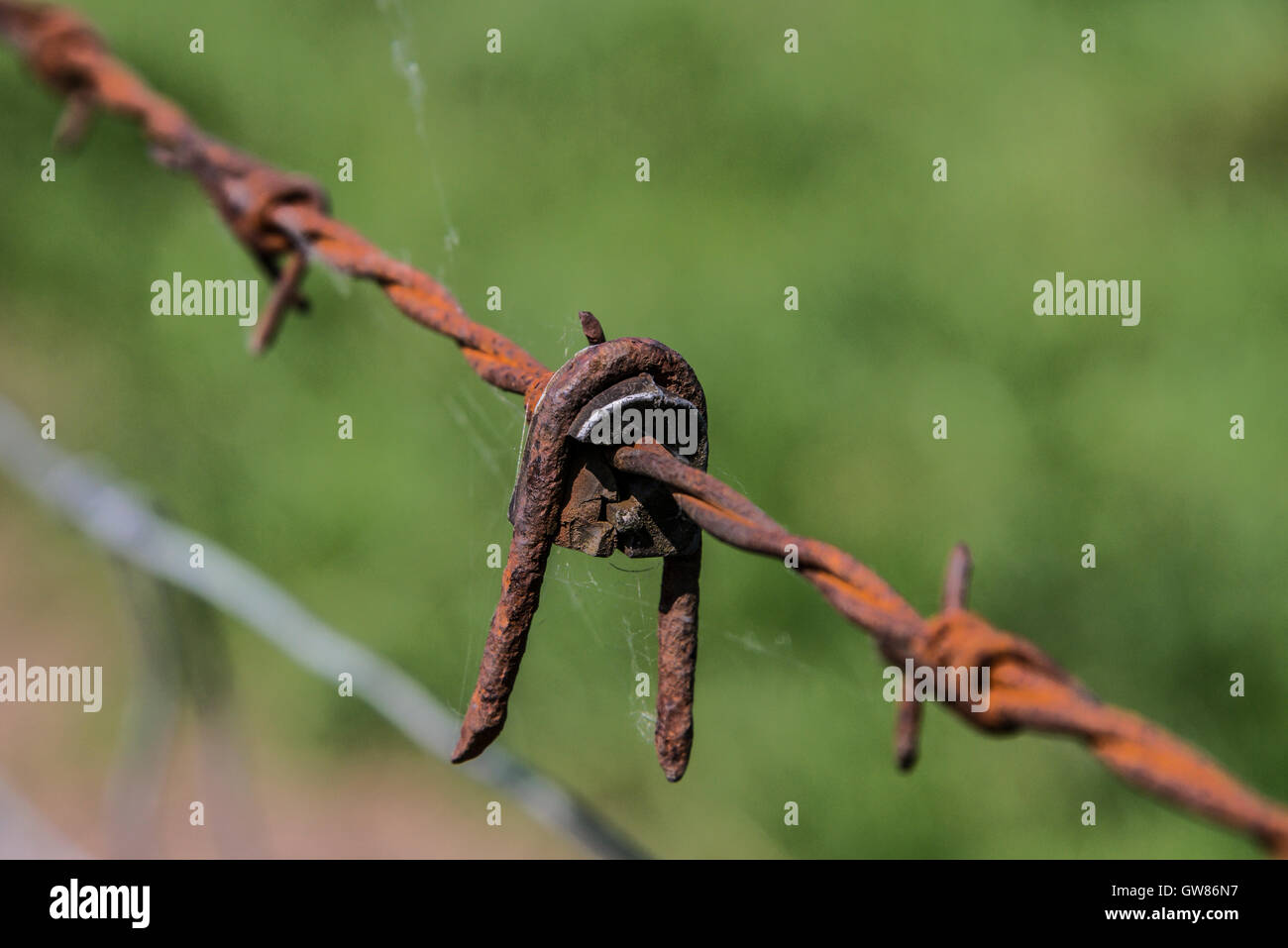 Rusty barbed wire Stock Photo Alamy