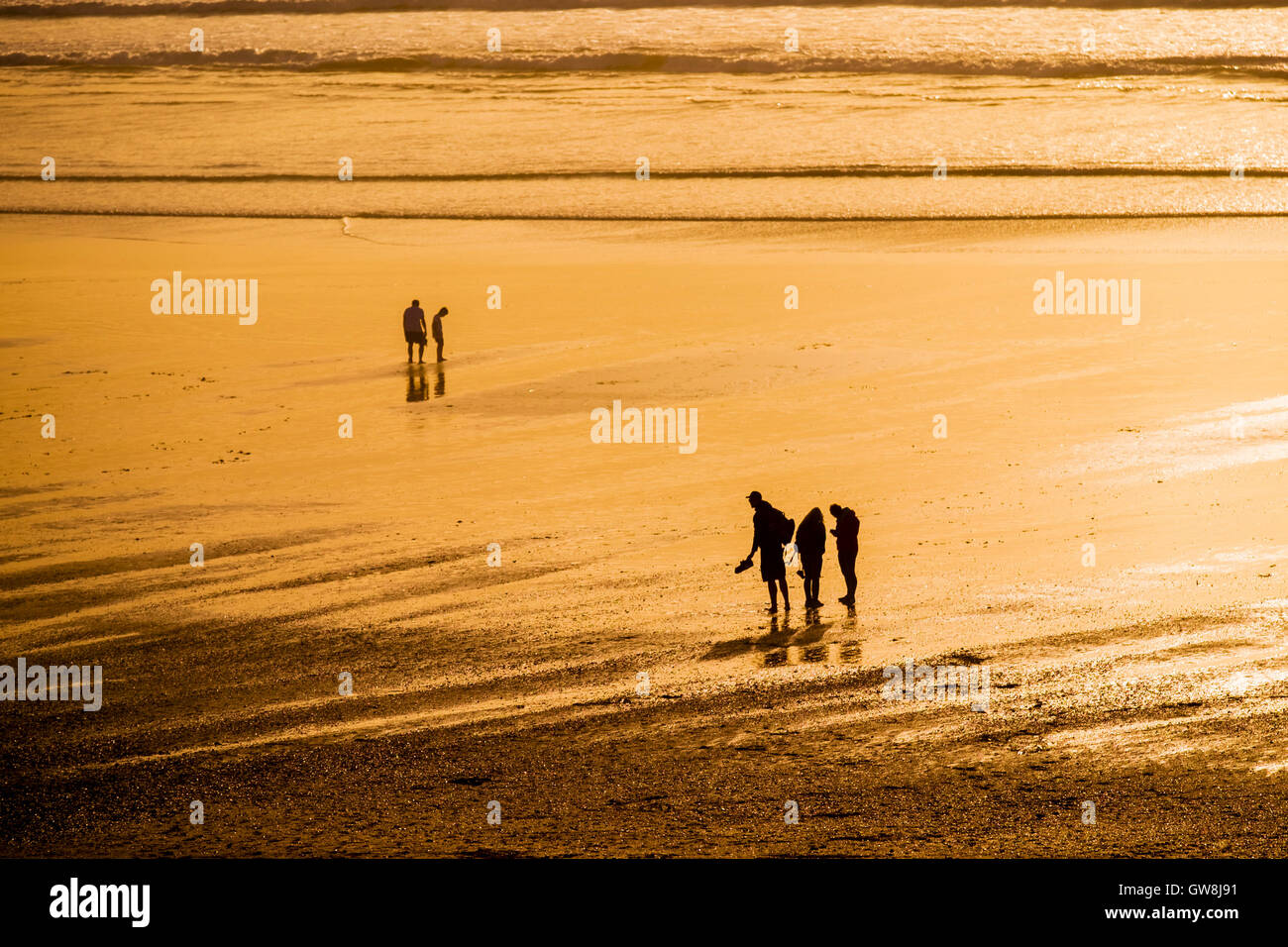 People seen in silhouette during an intense sunset.  Fistral. Cornwall. Stock Photo