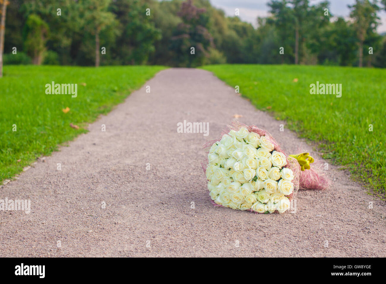 Incredibly beautiful large bouquet of white roses on a sandy path in the garden Stock Photo