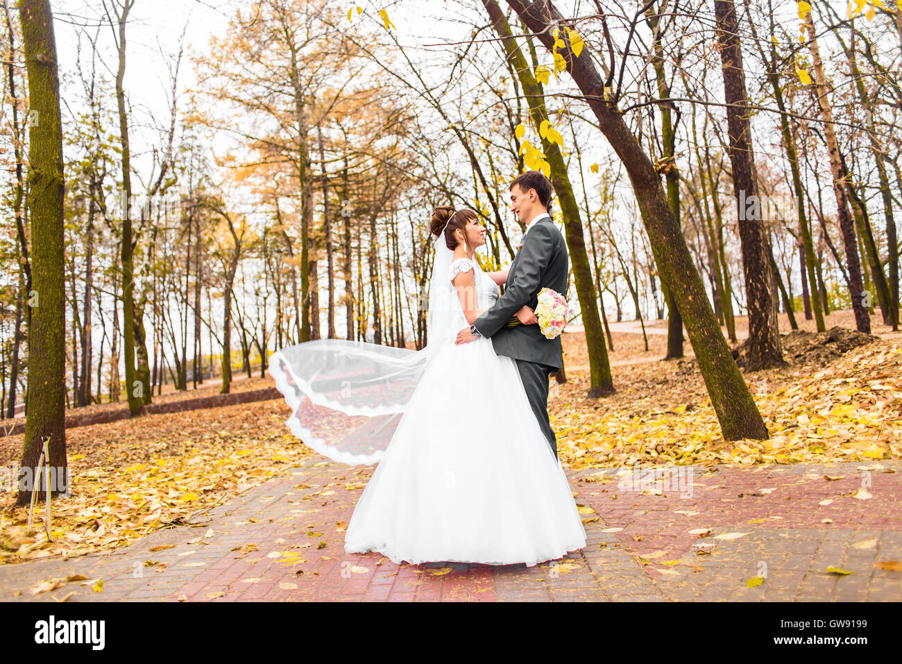 bride and groom walking in the autumn park Stock Photo - Alamy