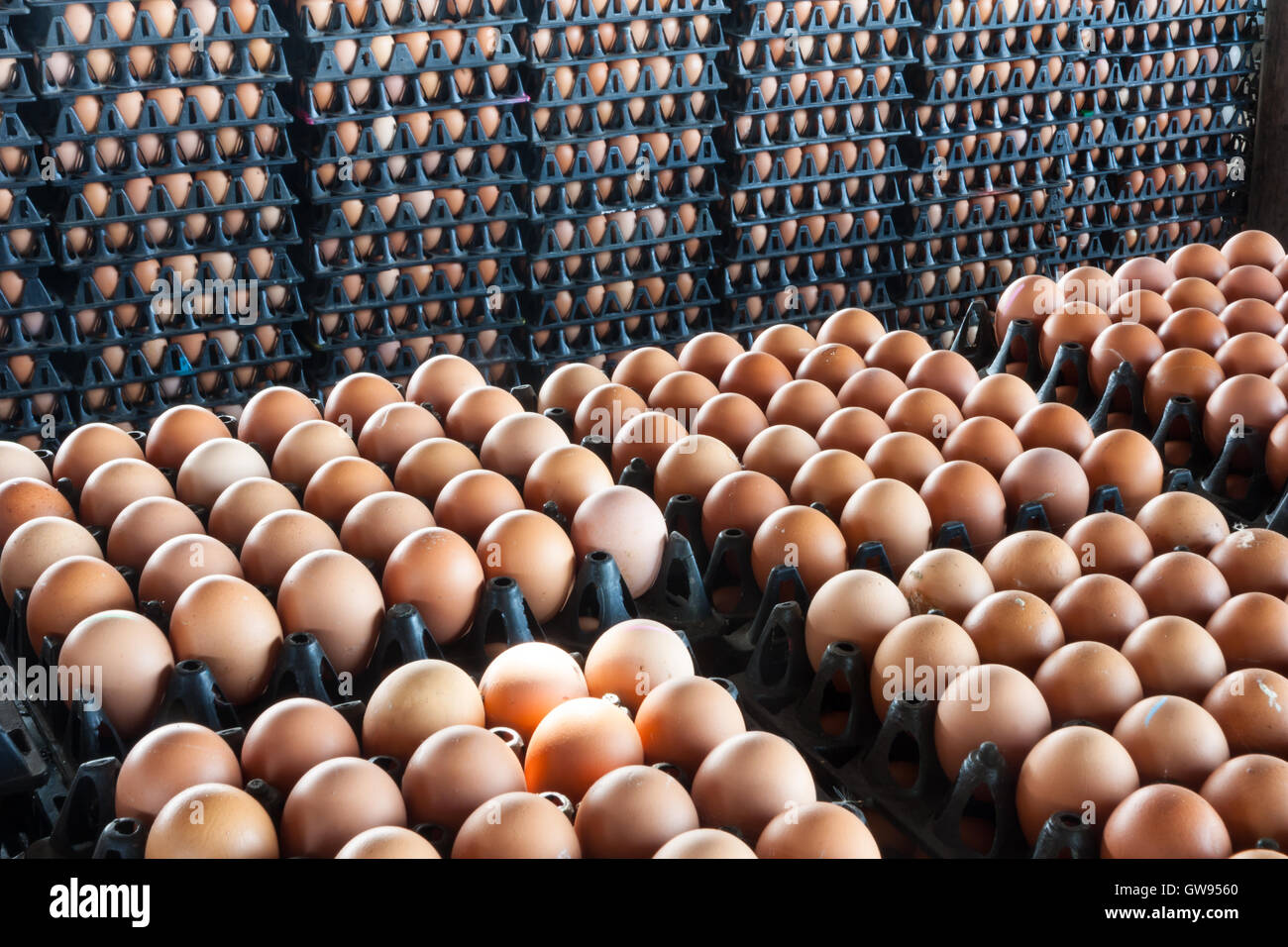 Eggs from chicken farm in the package Stock Photo - Alamy