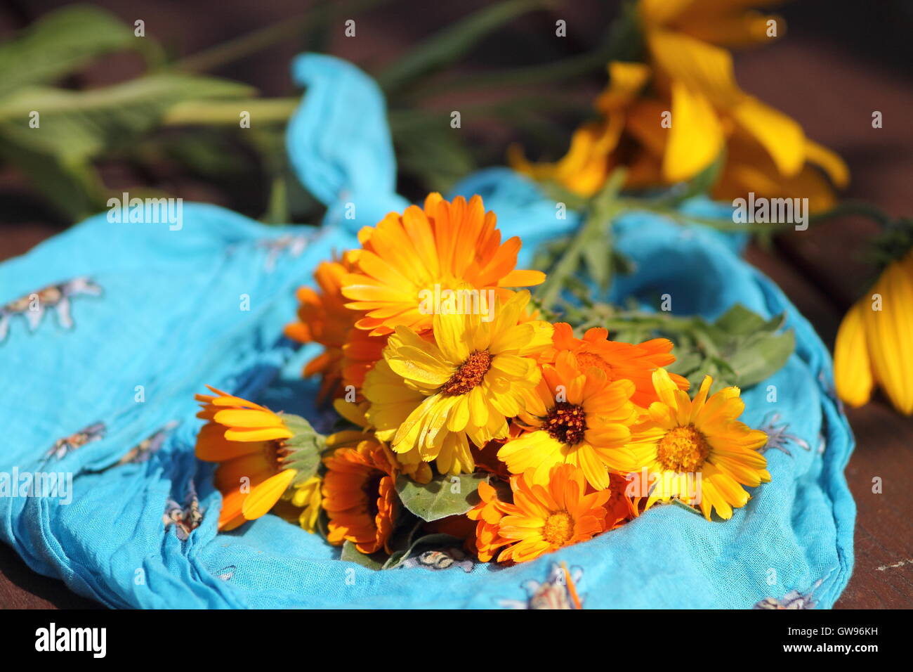 Bouquet of calendula flowers Stock Photo - Alamy