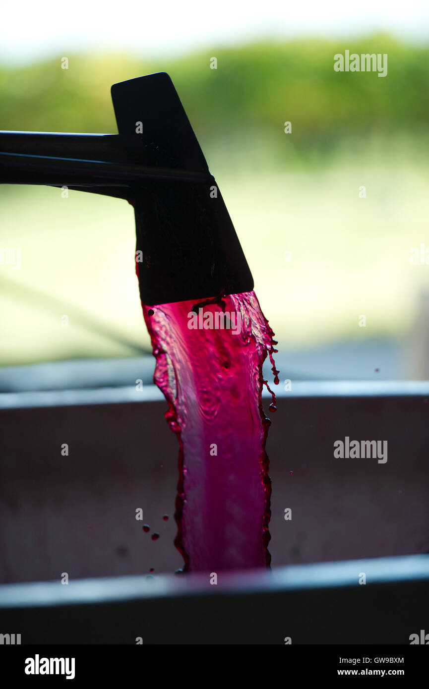 Aeration of the wine during the winemaking, Bordeaux Wineyard Stock Photo