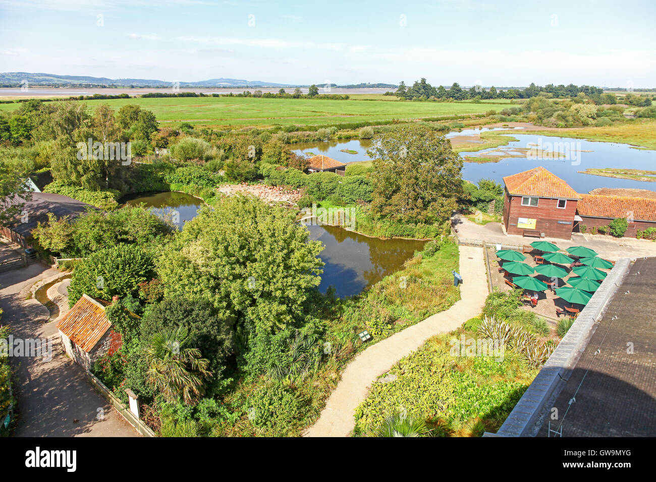 View from the top of the observatory tower over the wetlands at the Wildfowl and Wetlands Trust Slimbridge Wetland Centre, Gloustershire, England Stock Photo