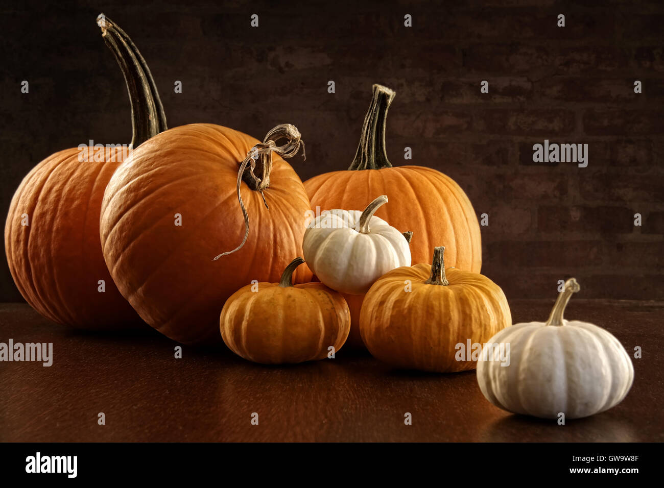 Pumpkins and gourds on table Stock Photo