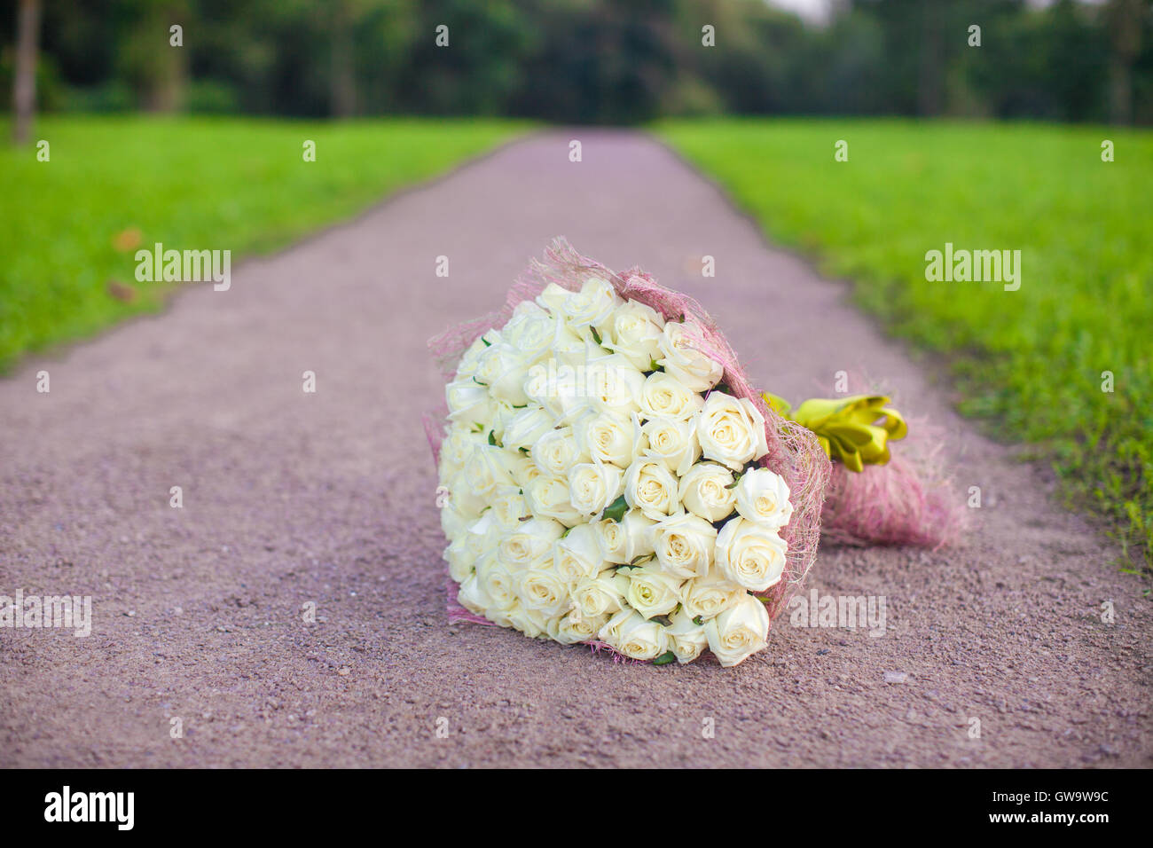 Incredibly beautiful large bouquet of white roses on a sandy path in the garden Stock Photo