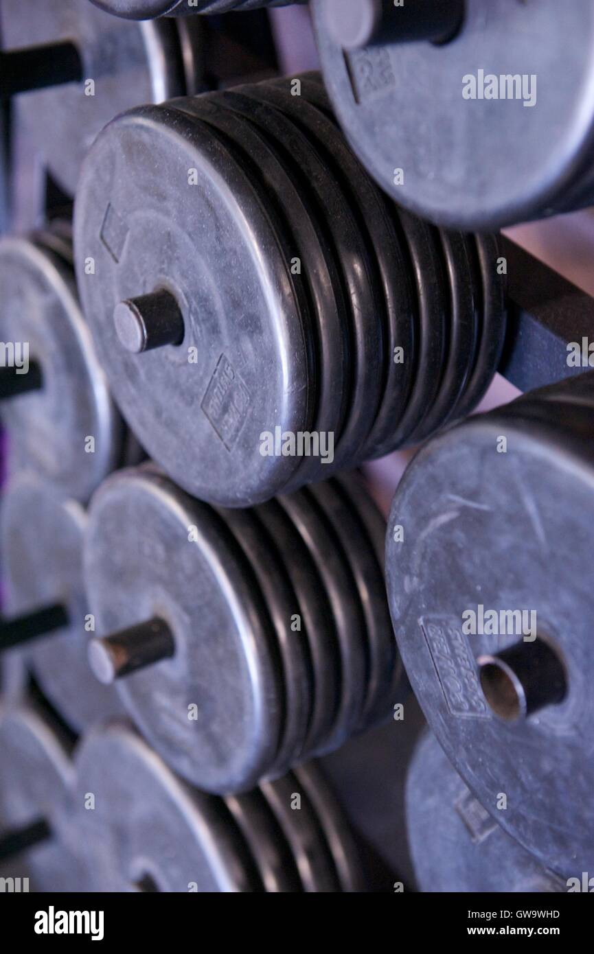Rack of Free Weight Plates at a Professional Gym Stock Photo - Alamy