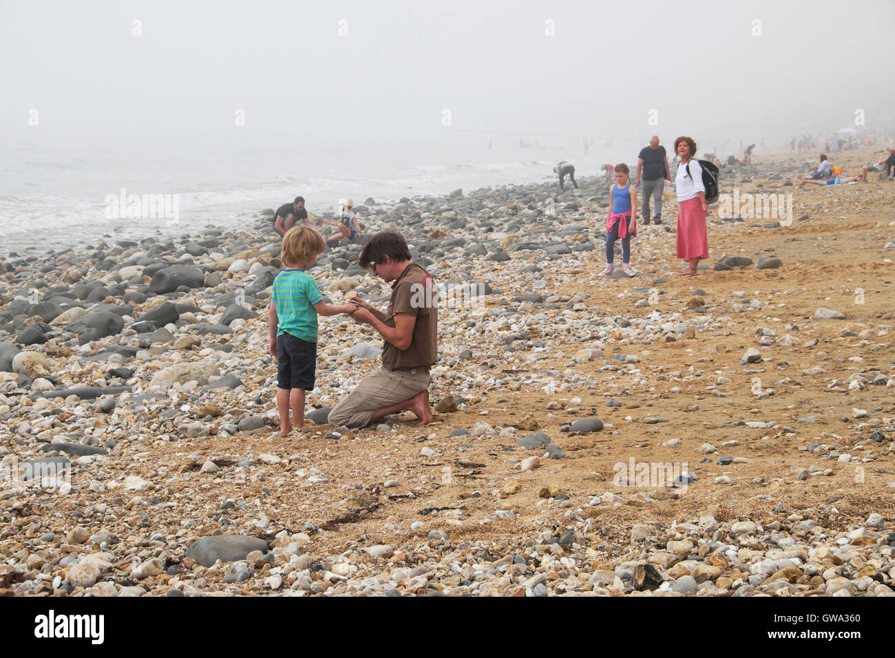 A father and son hunt for fossils on the Jurassic Coast beach in summer at Charmouth Dorset England UK    KATHY DEWITT Stock Photo