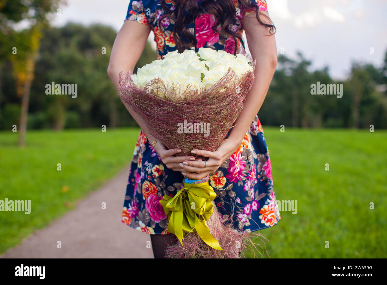 Incredibly beautiful large bouquet of white roses at the hands of a young girl in colored dress Stock Photo
