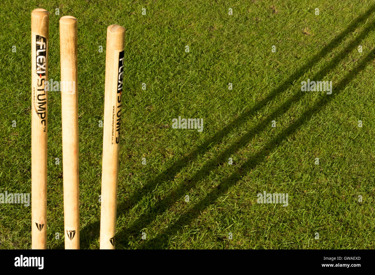 Cricket stumps in evening shadow Stock Photo