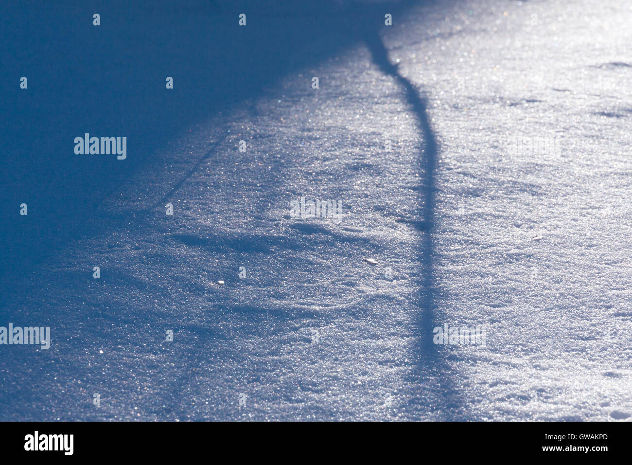 Winter seasonal nature abstract background: pattern forming by shadow on snow from the tree branches. Stock Photo