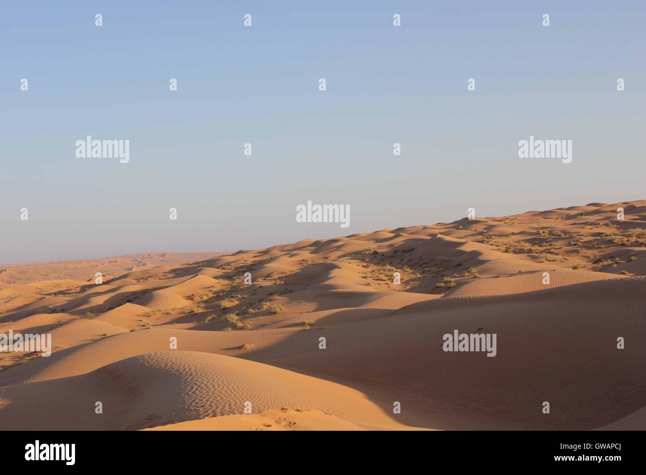 Wahiba sands scenery hi-res stock photography and images - Alamy Foto & Idee Wahiba sands scenery hi-res stock photography and images - Alamy Bildidee