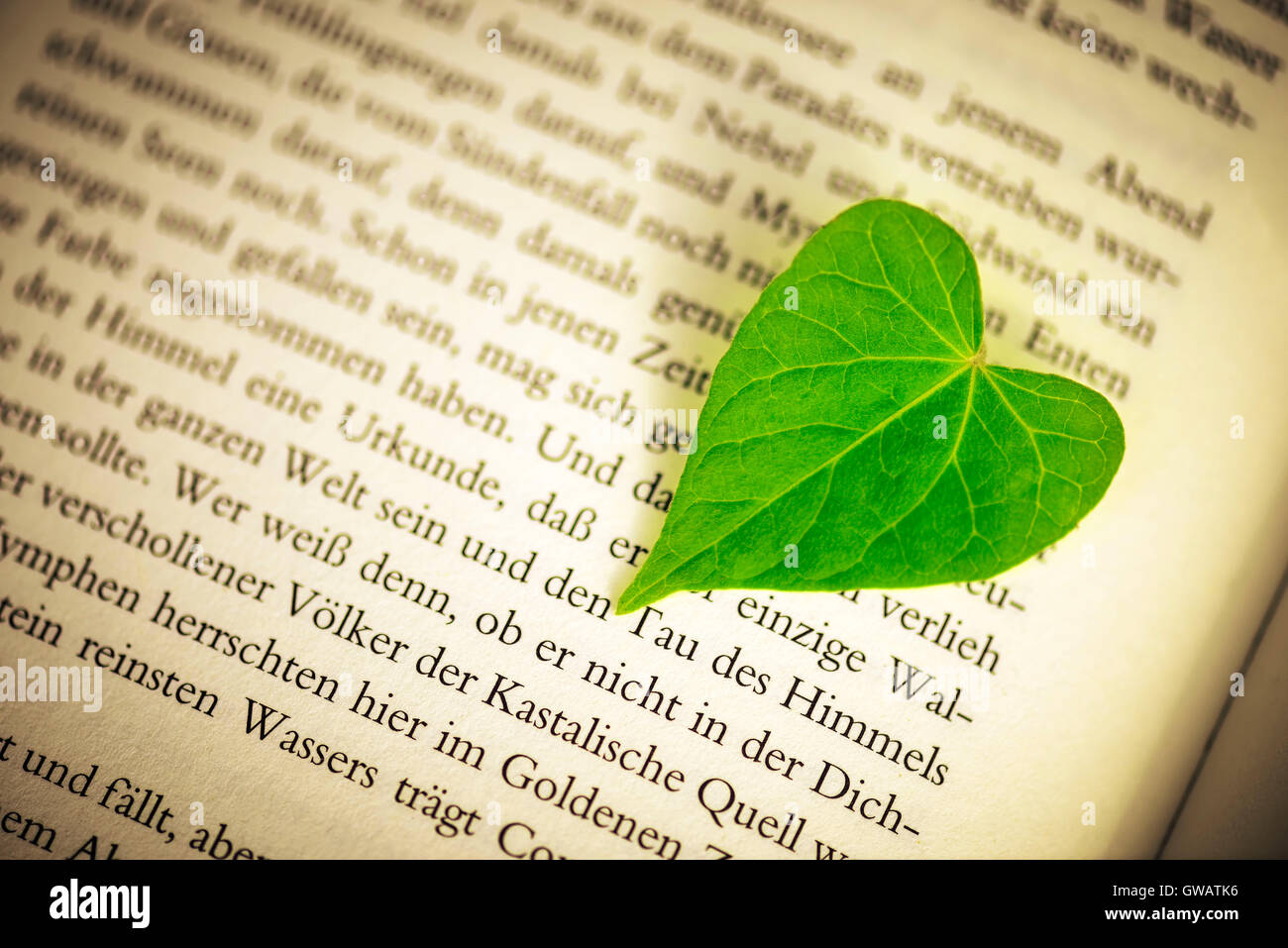 Heart-shaped sheet on a book page, Herzfoermiges Blatt auf einer Buchseite Stock Photo