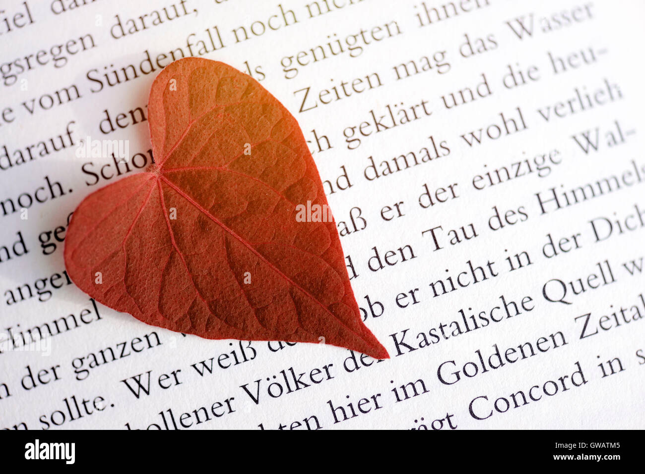 Heart-shaped sheet on a book page, Herzfoermiges Blatt auf einer Buchseite Stock Photo