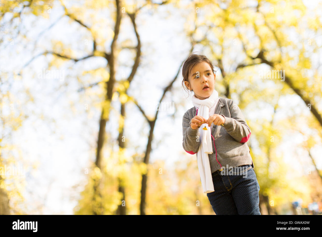 Cute little girl in the park at autumn Stock Photo - Alamy