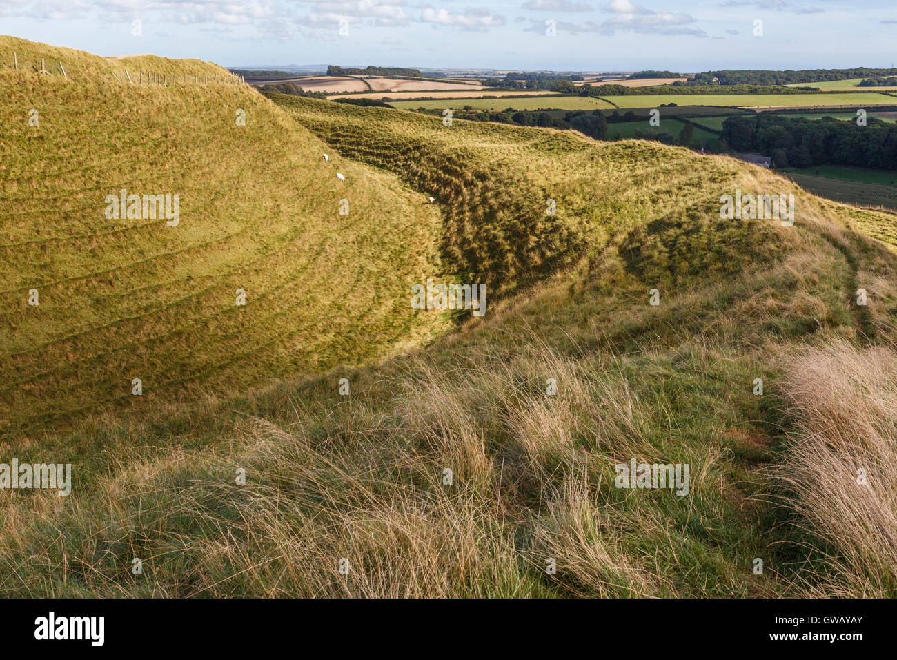 Ditchand ramparts on north side of Maiden Castle Stock Photo