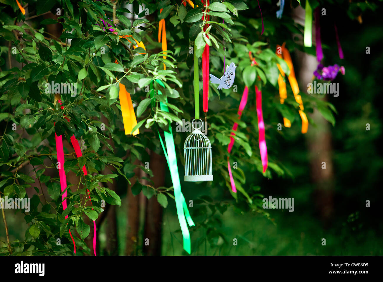 Wedding decoration tree Stock Photo - Alamy