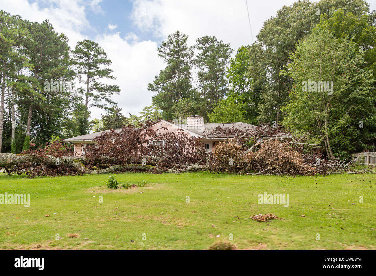 Huge tree fallen on a home causing storm damage Stock Photo