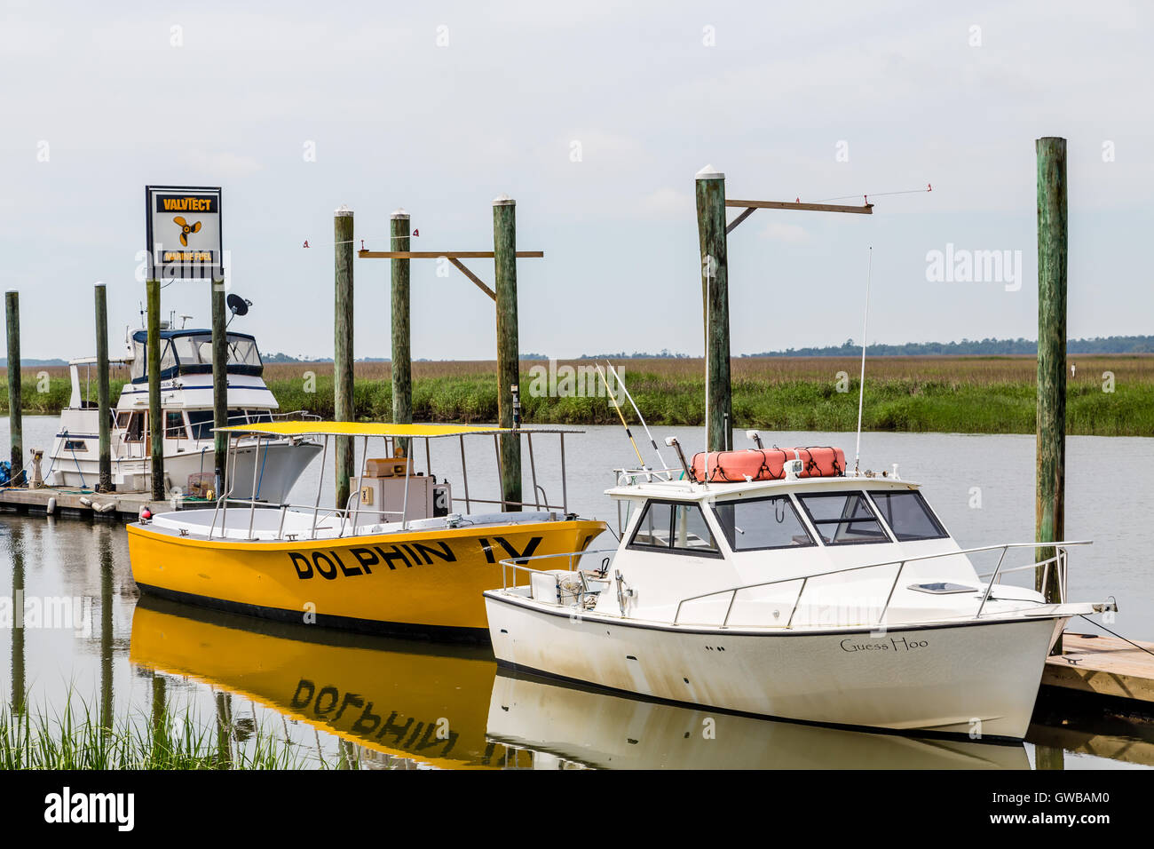 Tybee island dolphin hires stock photography and images Alamy