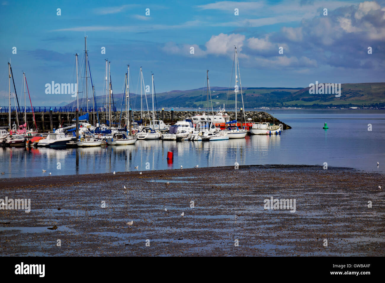 Stranraer harbour and marina, Dumfries and Galloway, Scotland. Stock Photo