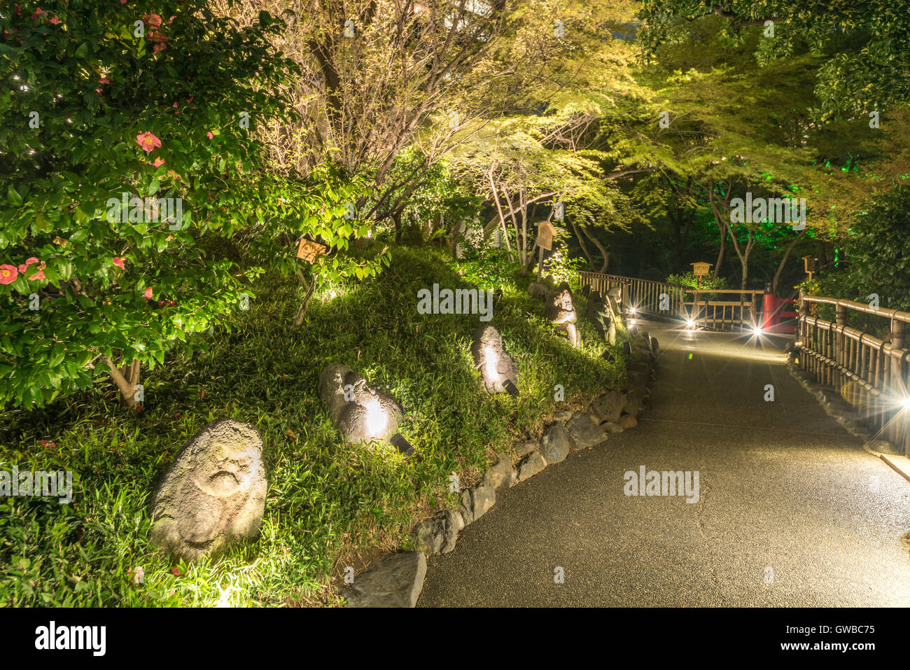 Cherry blossom, Hotel Chinzanso Tokyo, Bunkyo-Ku,Tokyo,Japan Stock Photo