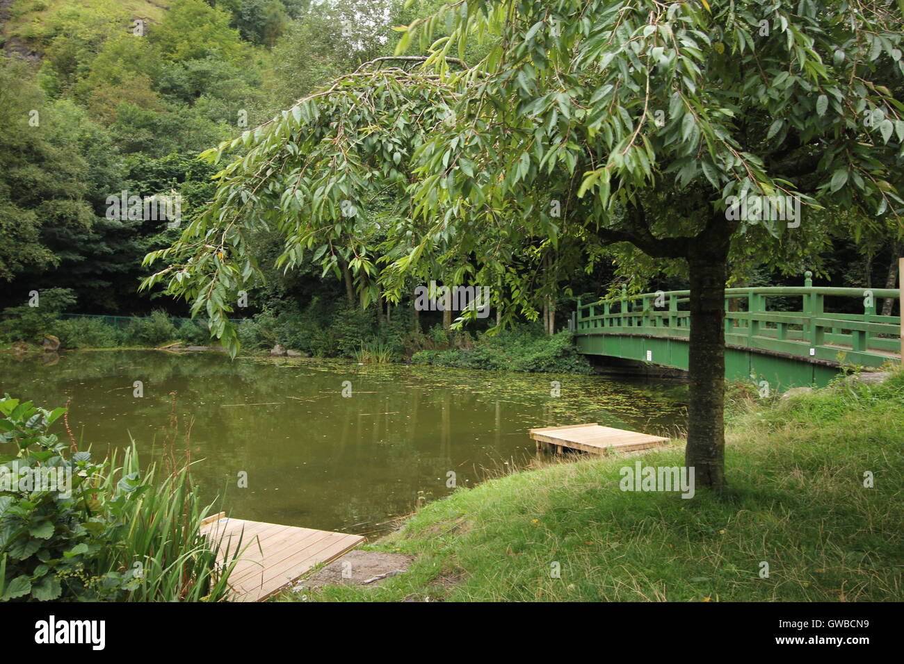 Ebbw Vale, ponds, water, green, trees, life, Blaenau Gwent Stock Photo