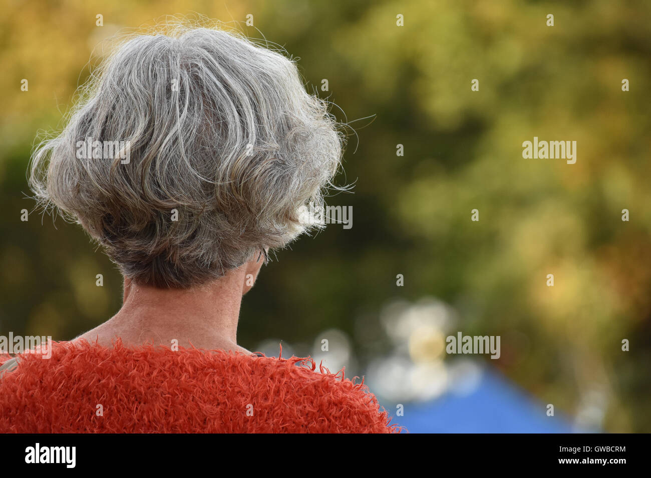 Head and shoulders back view of woman Stock Photo