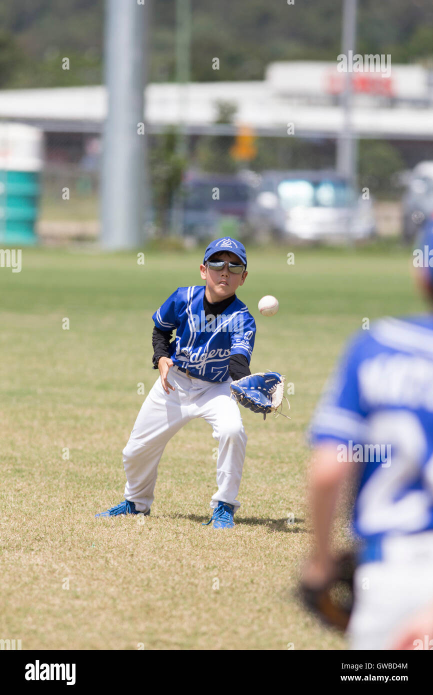 A young boy catches a ball during practice before a baseball game in