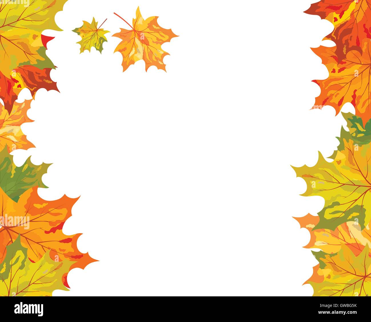 Autumn Frame With Falling Maple Leaves on White Background. Elegant ...