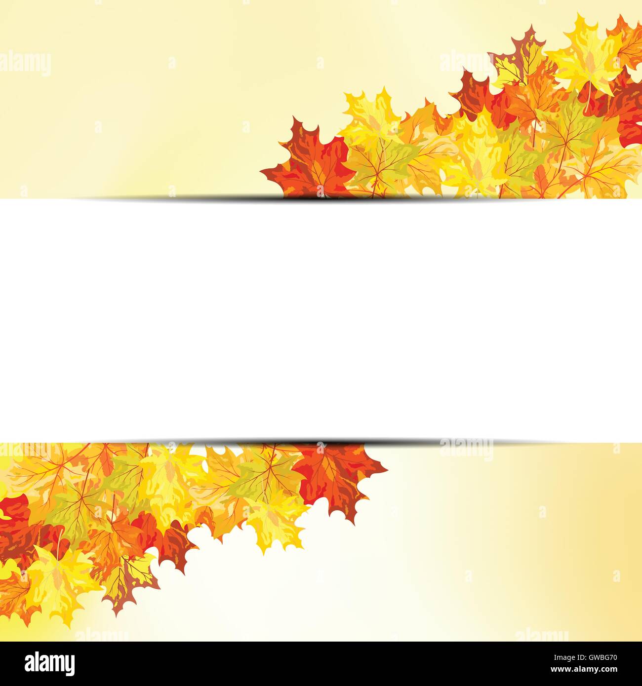 Autumn maple leaves background. Vector illustration with transparency ...