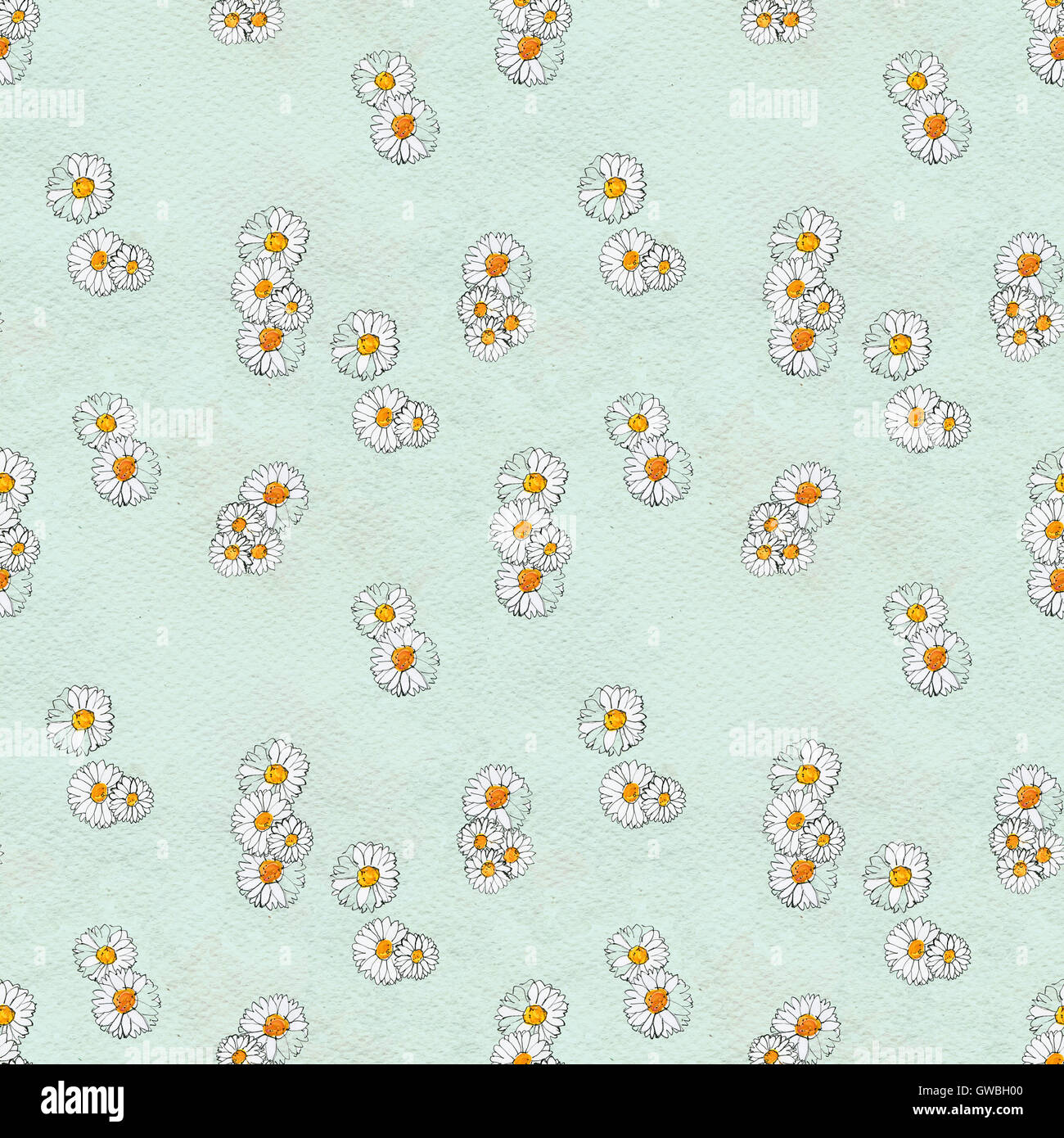 Seamless floral pattern with daisy flowers Stock Photo - Alamy