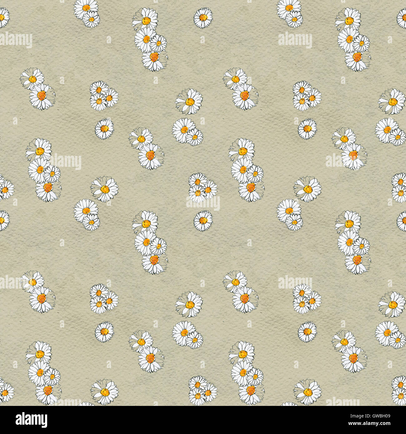 Seamless floral pattern with daisy flowers Stock Photo - Alamy