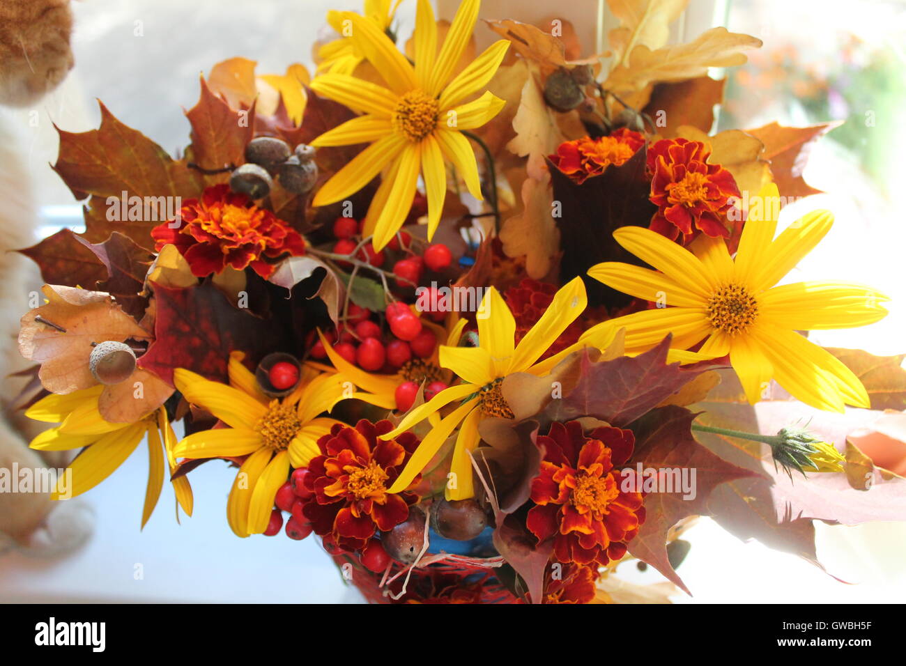 bright colorful autumn bouquet from bloom yellow flowers, berries, ginger leaves nice composition for decor Stock Photo