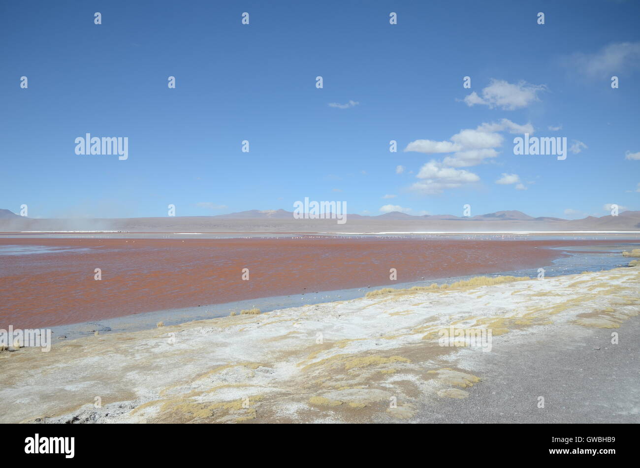 Panorama of empty altiplano Stock Photo