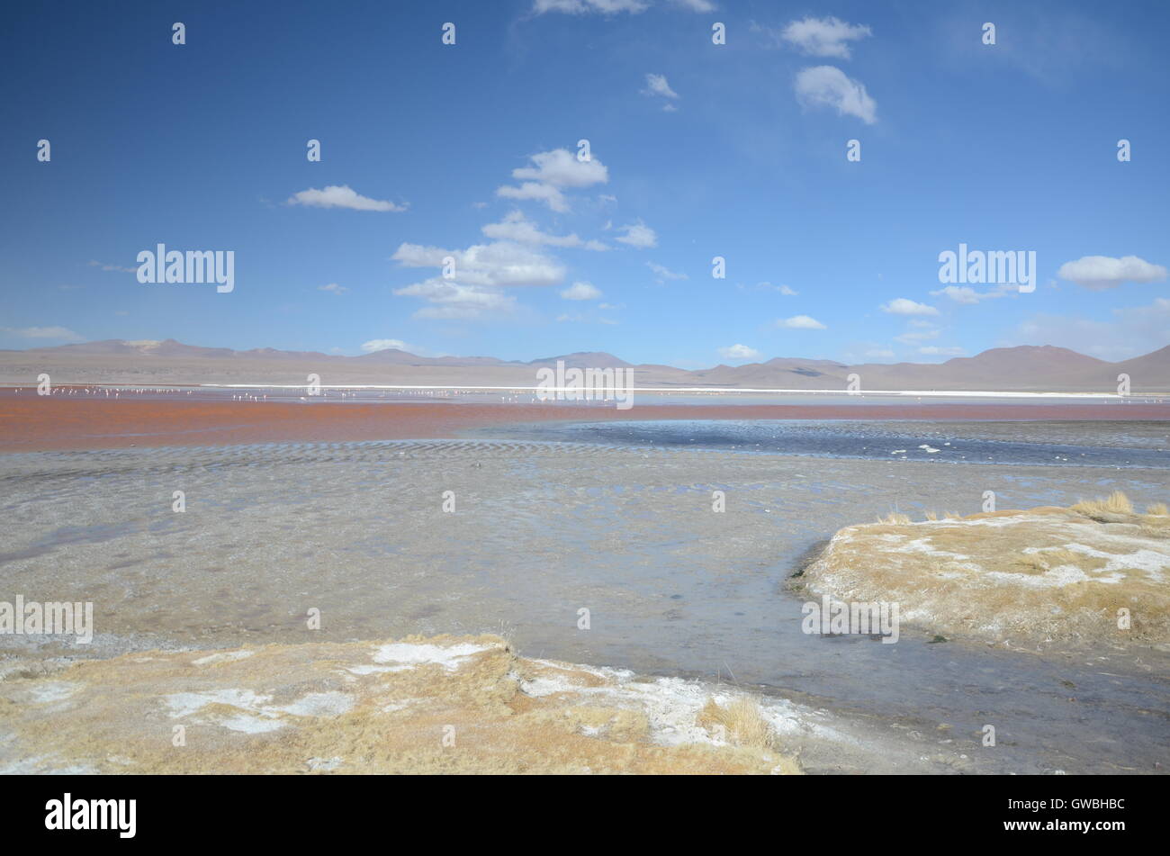 Panoramic view of lagoon altiplano Bolivia Stock Photo