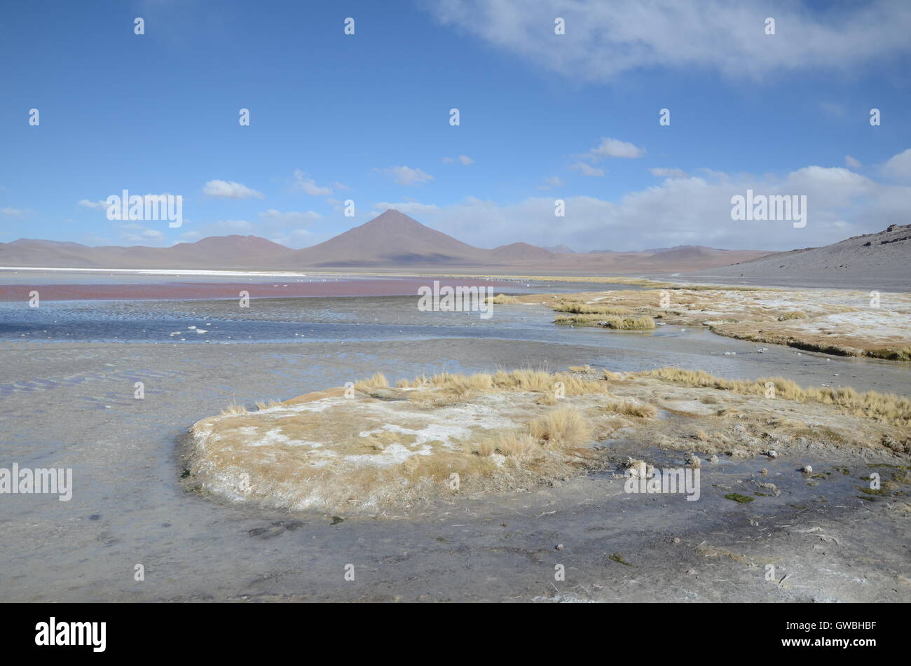 Altiplano lagoon and mountains Stock Photo