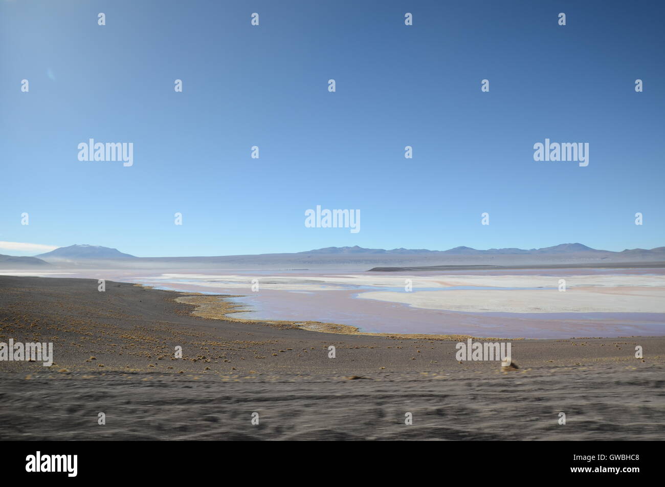 Lagoon on altiplano Stock Photo