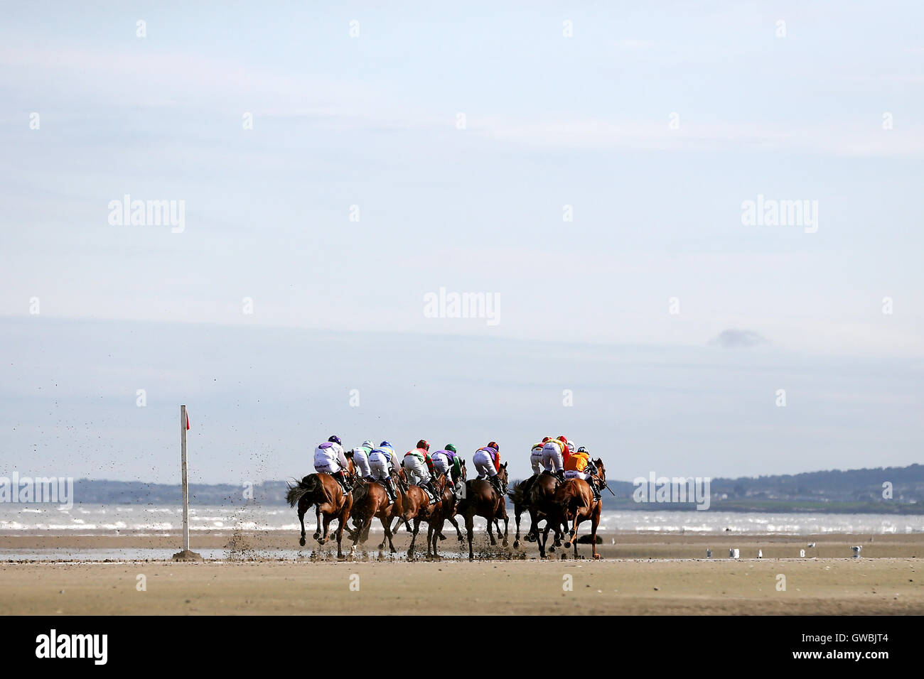 Runners and riders during the Racing Post Handicap at the Laytown ...